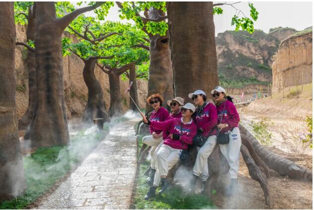 网红树,奇异花园等网红旅游项目,是庆阳地区最时尚的旅游景点,打卡必