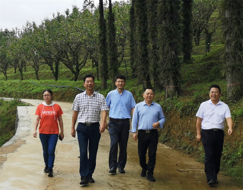 锦屏县政府用"锦屏文书"聘请杨明志为顾问